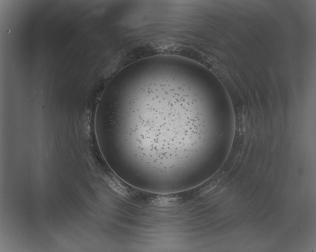 X0000074260664200608251227