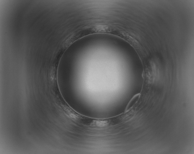 X0000074260665200608251227