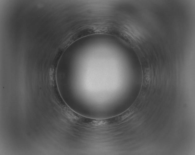 X0000074260667200608251227