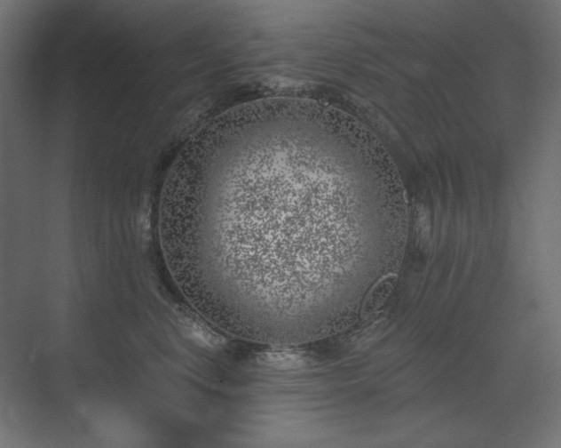 X0000074260668200608251227