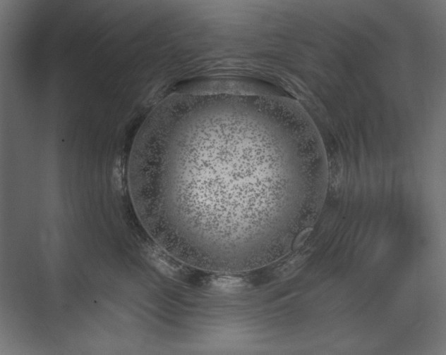 X0000074260669200608251227