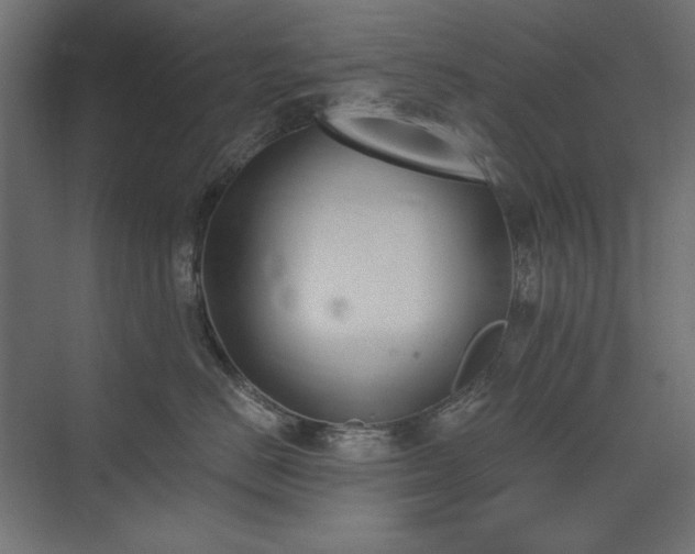 X0000074260670200608251228