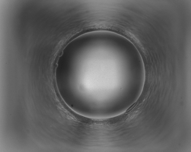 X0000074260673200608251227