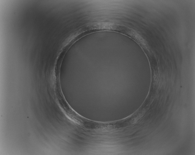 X0000074260674200608251227