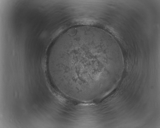 X0000074260679200608251227