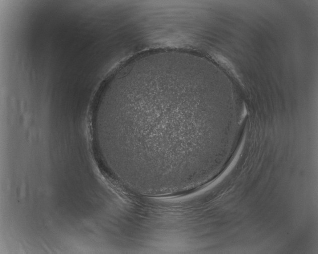 X0000074260680200608251227