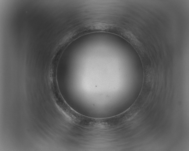 X0000074260683200608251227