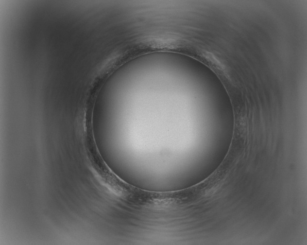 X0000074260686200608251227