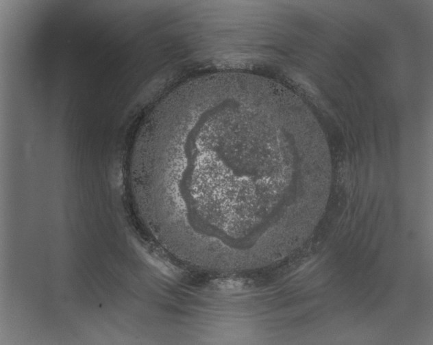 X0000074260687200608251226