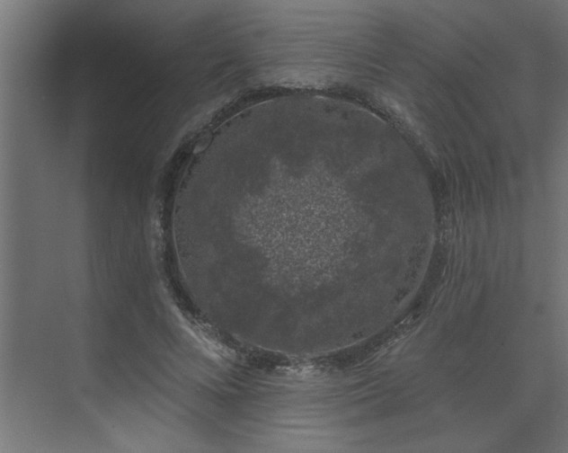 X0000074260688200608251226