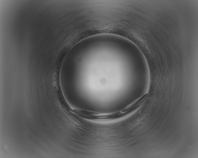 X0000074260689200608251226