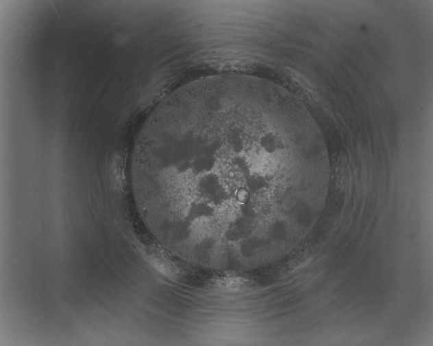 X0000074260695200608251226