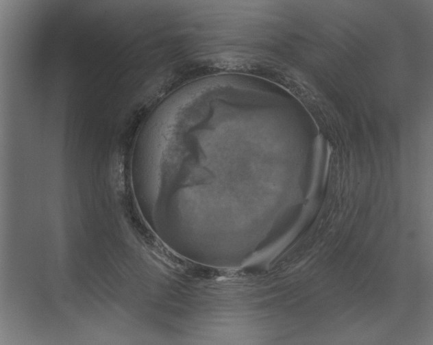 X0000074260696200608251226