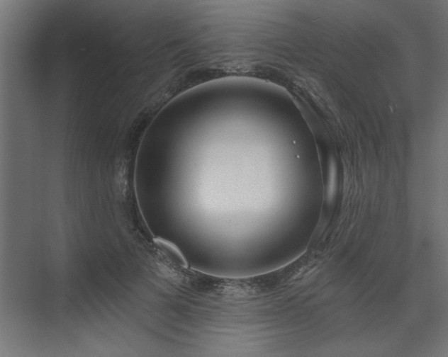 X0000074260697200608251226