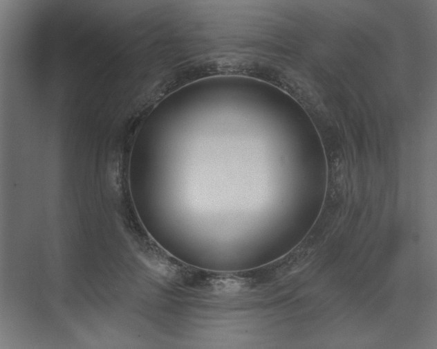 X0000074260698200608251226