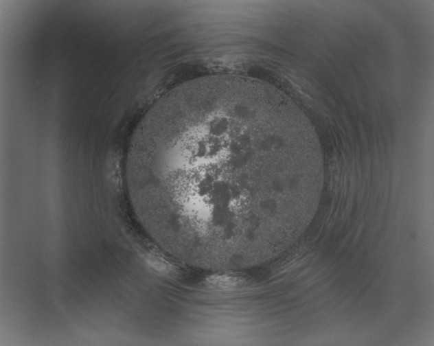 X0000074260699200608251226