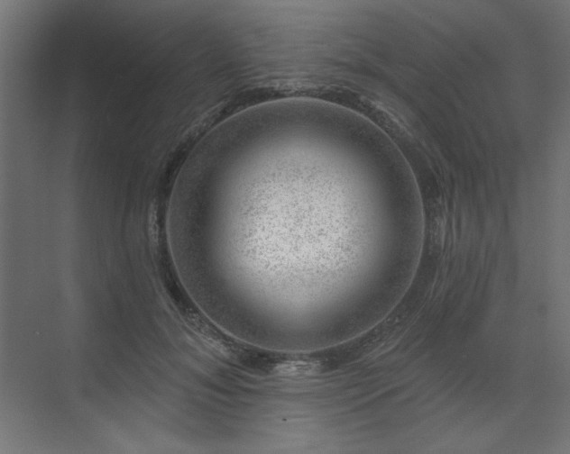 X0000074260700200608251226