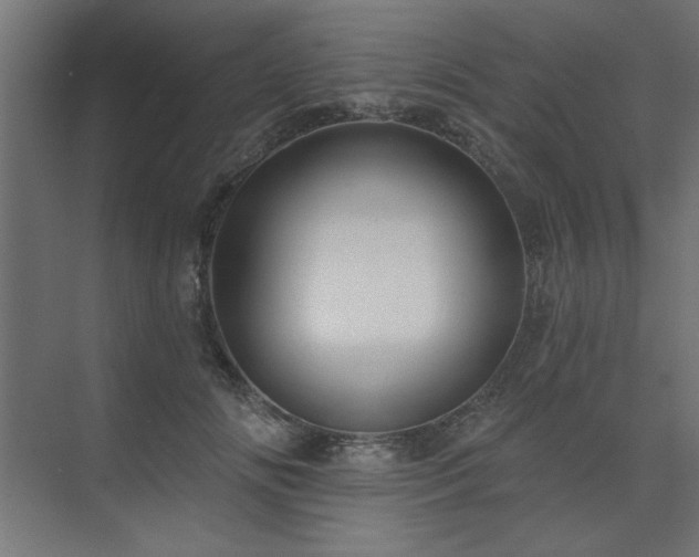 X0000074260702200608251226