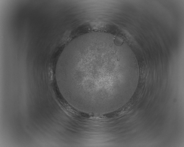 X0000074260703200608251226