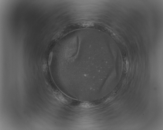 X0000074260704200608251226