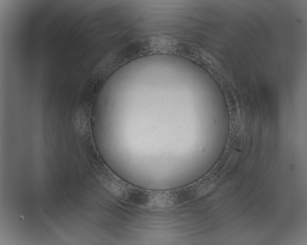 X0000074260705200608251226