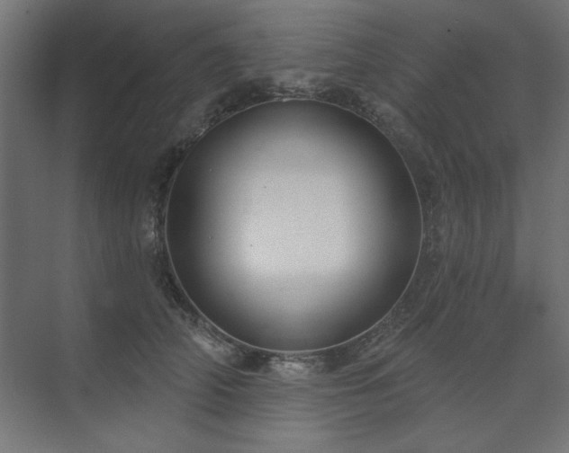 X0000074260706200608251226