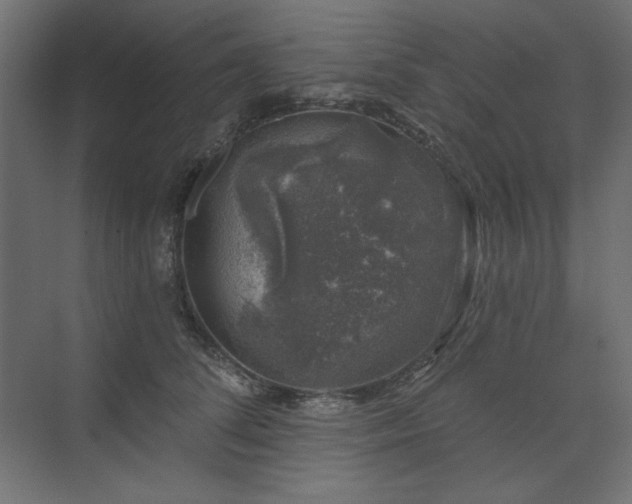 X0000074260708200608251226