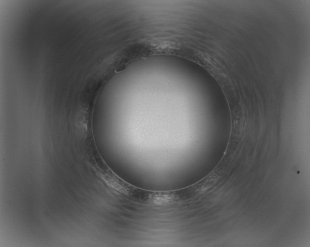 X0000074260710200608251226