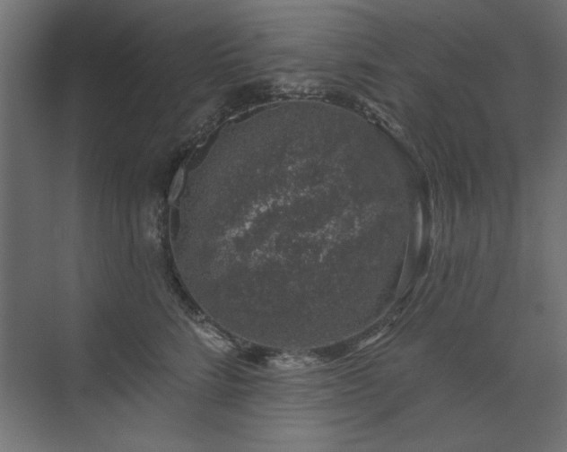 X0000074260712200608251226