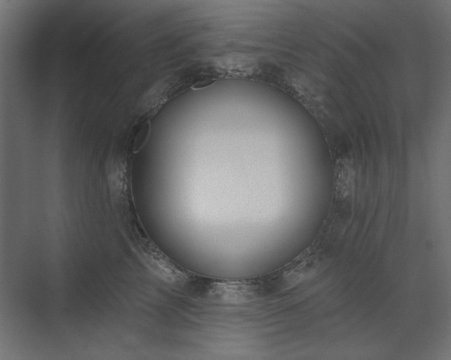 X0000074260713200608251226