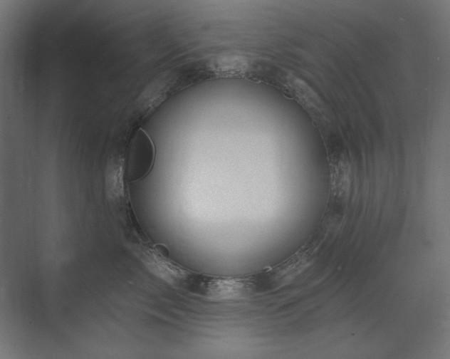 X0000074260717200608251226