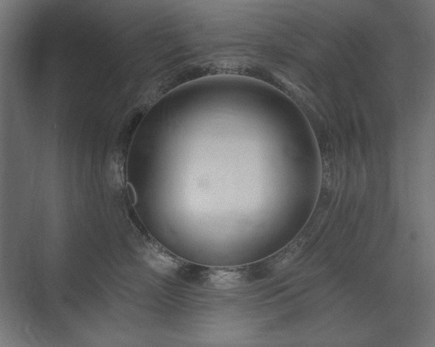 X0000074260718200608251226