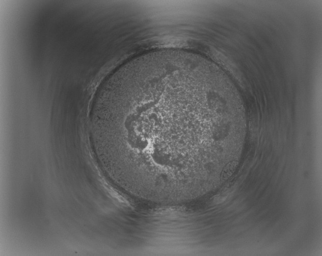 X0000074260721200608251225