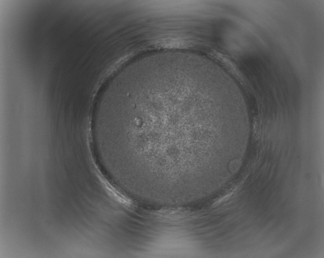 X0000074260725200608251225