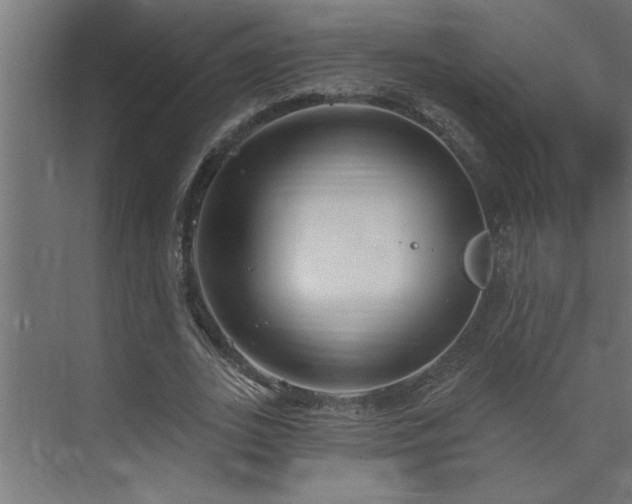 X0000074260727200608251225