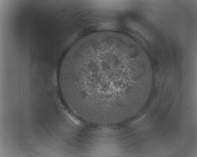 X0000074260729200608251225