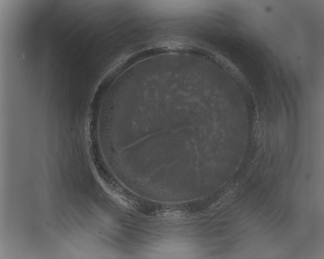 X0000074260730200608251225