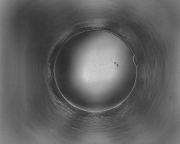 X0000074260731200608251225