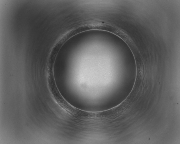 X0000074260732200608251225