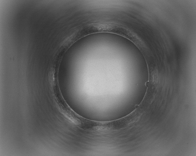 X0000074260733200608251225