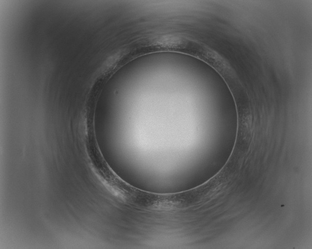 X0000074260734200608251225