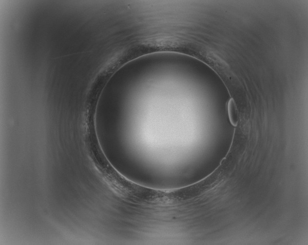 X0000074260735200608251225