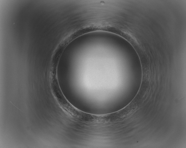 X0000074260736200608251225