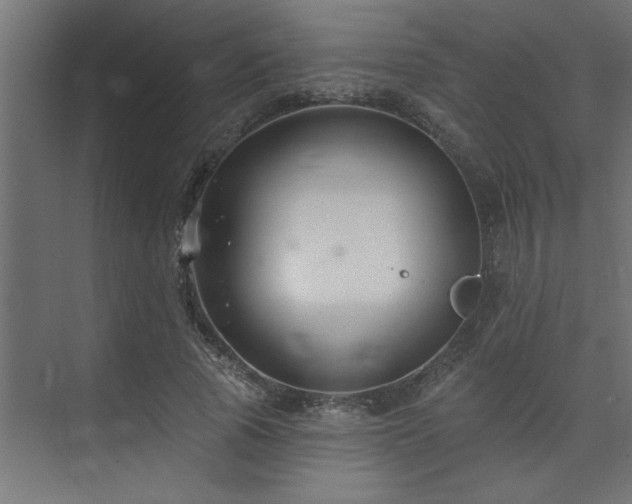 X0000074260737200608251225