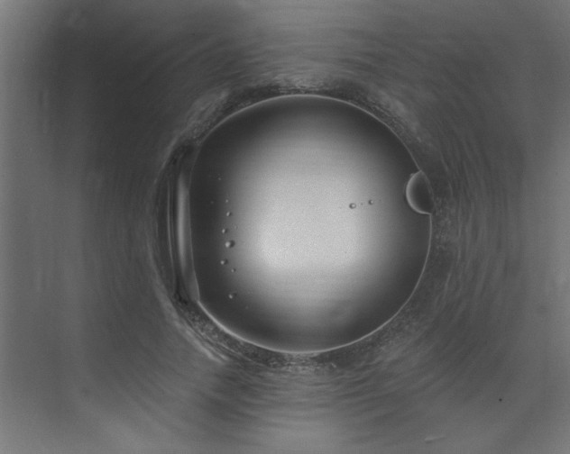 X0000074260738200608251225