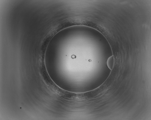 X0000074260739200608251225