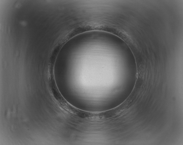 X0000074260740200608251225