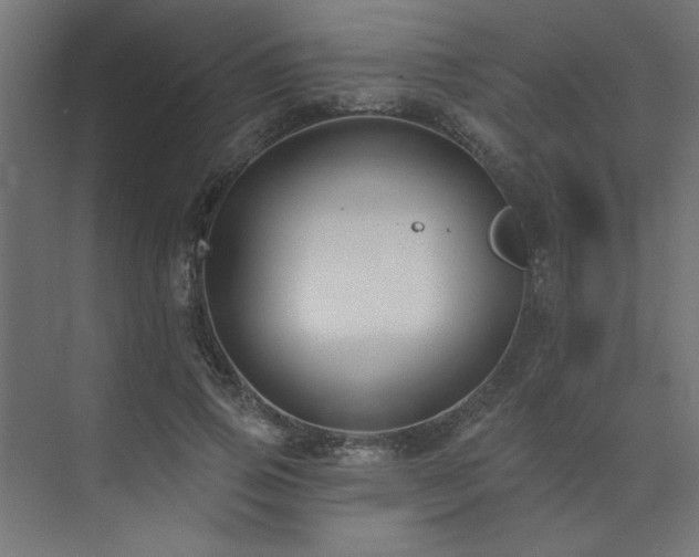 X0000074260741200608251225