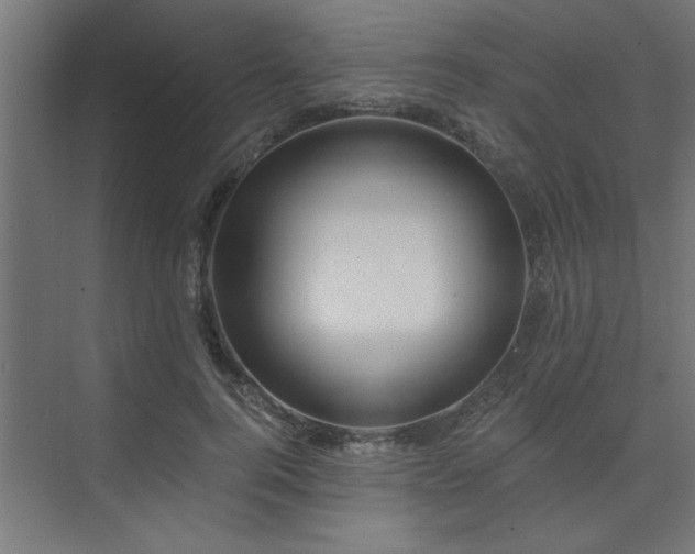 X0000074260744200608251226