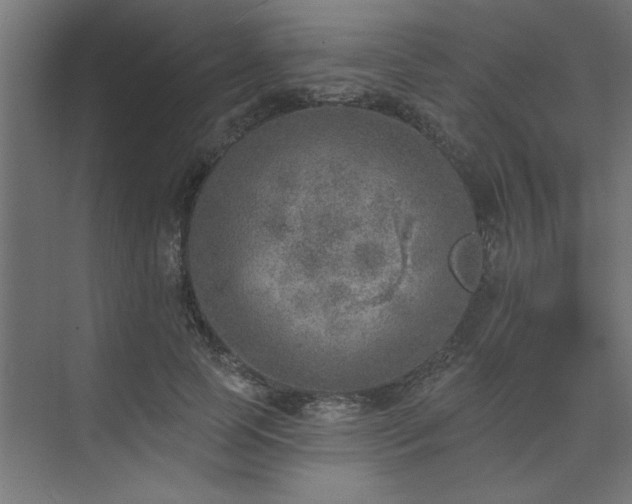 X0000074260745200608251226